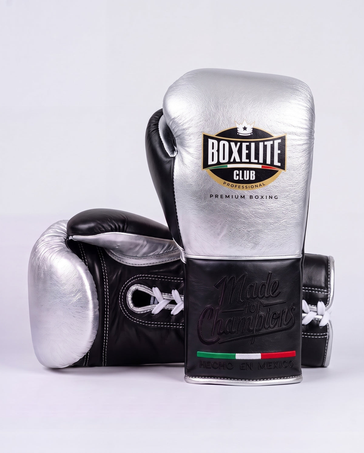 Silver & Black 12oz Training Gloves