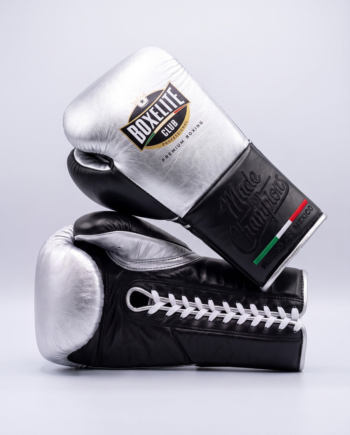 Silver & Black 12oz Training Gloves