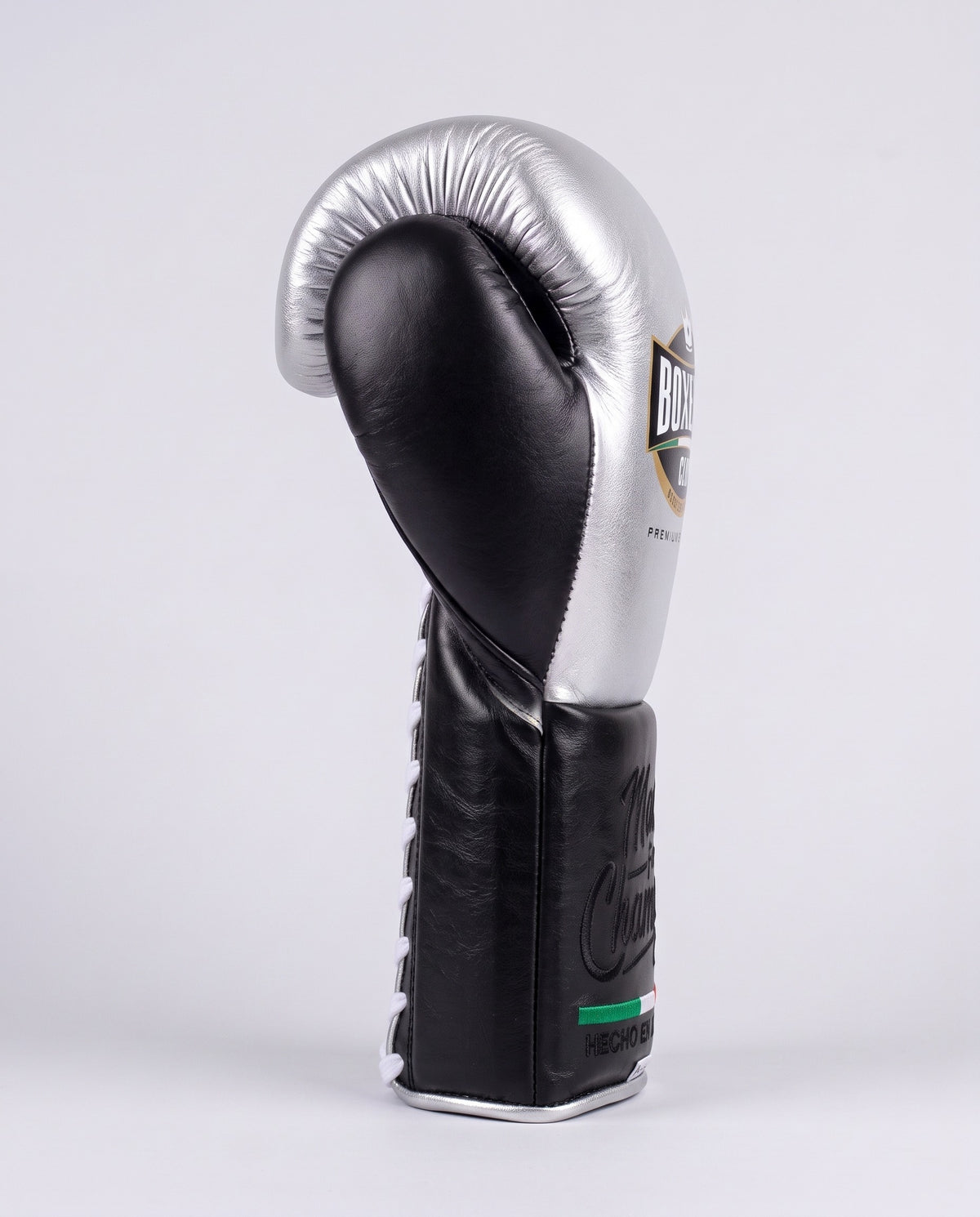 Silver & Black 12oz Training Gloves