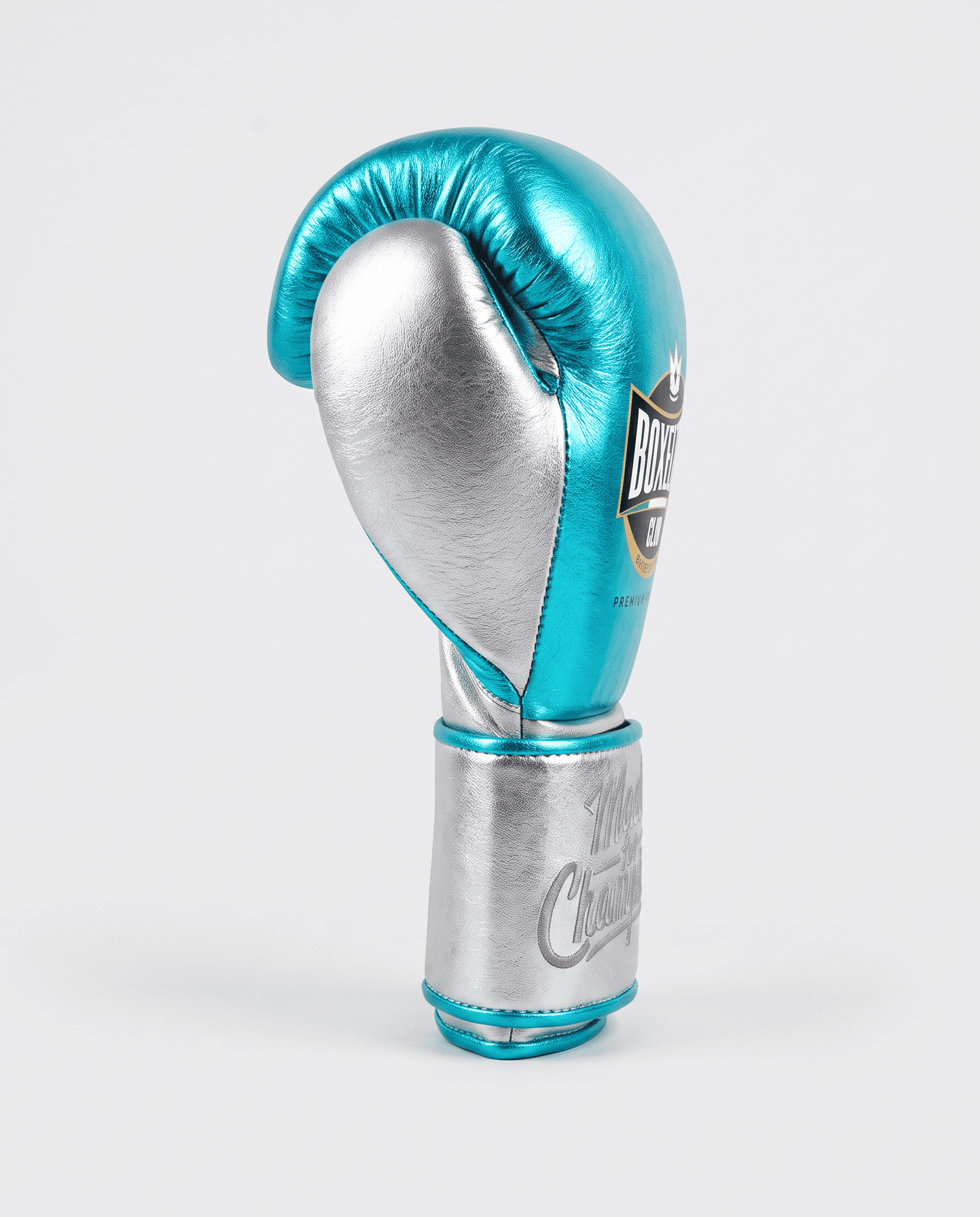 Aqua & Silver 14oz Velcro Training Gloves