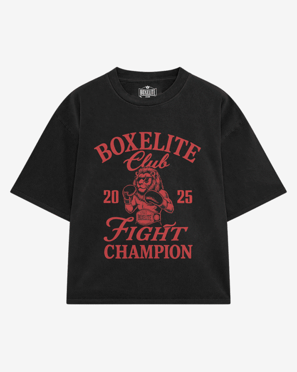 Fight Champion Lion - Image 1