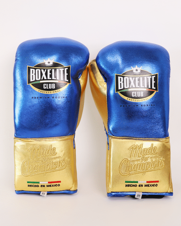 Training MX Gloves - Metallic Blue & Gold 16oz HH - Image 3