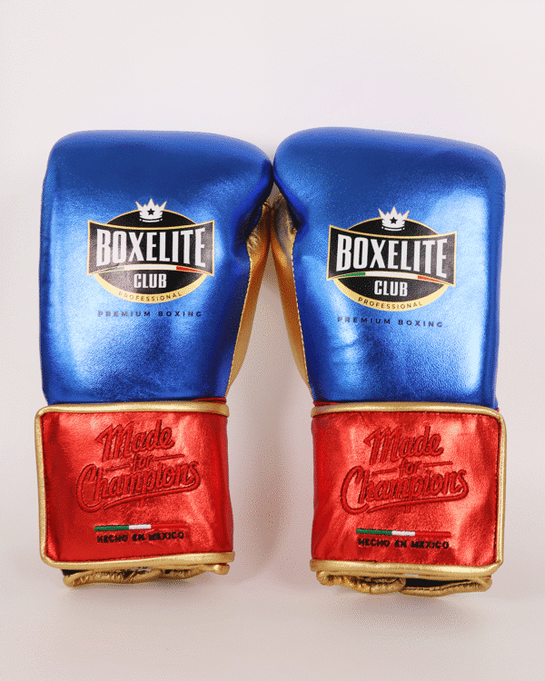 Training MX Gloves - Metallic Blue & Red with Gold 16oz - Image 3